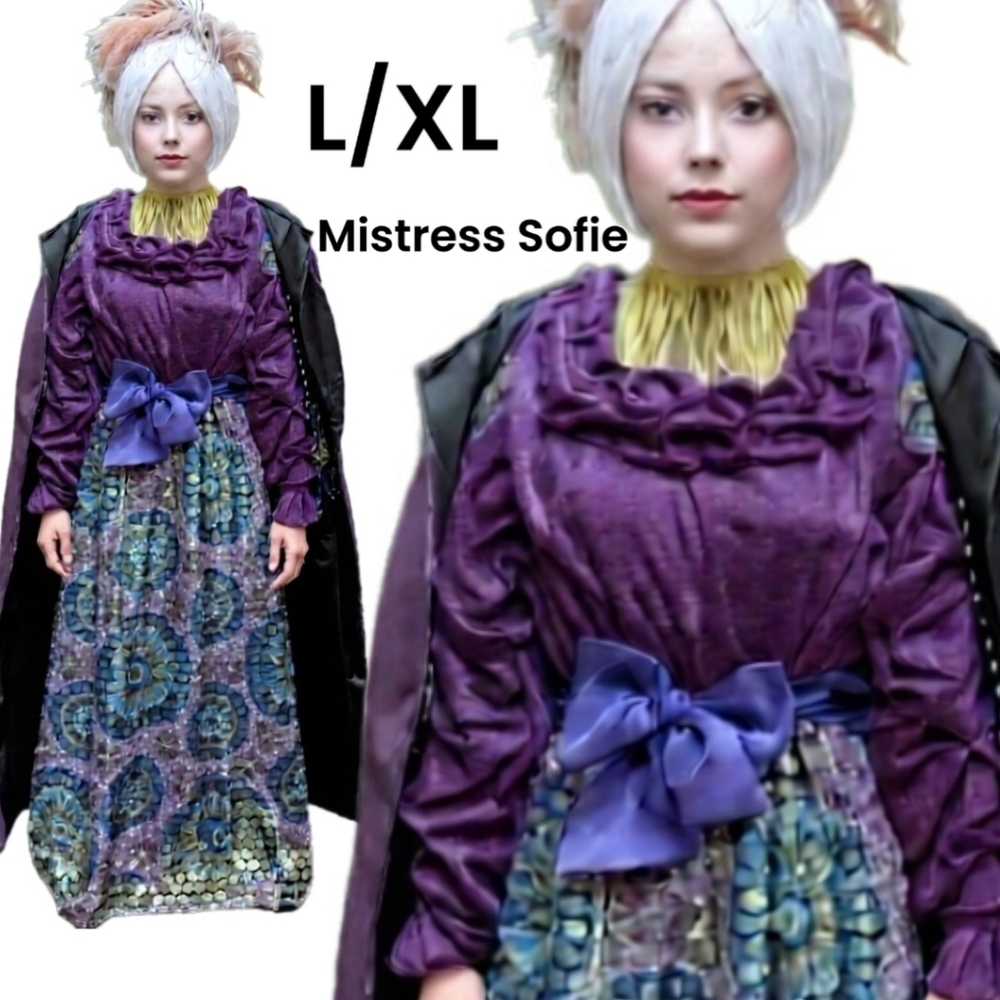 Halloween Costume Bridgerton Character Cosplay Costume Size L/XL - Picture 1 of 11